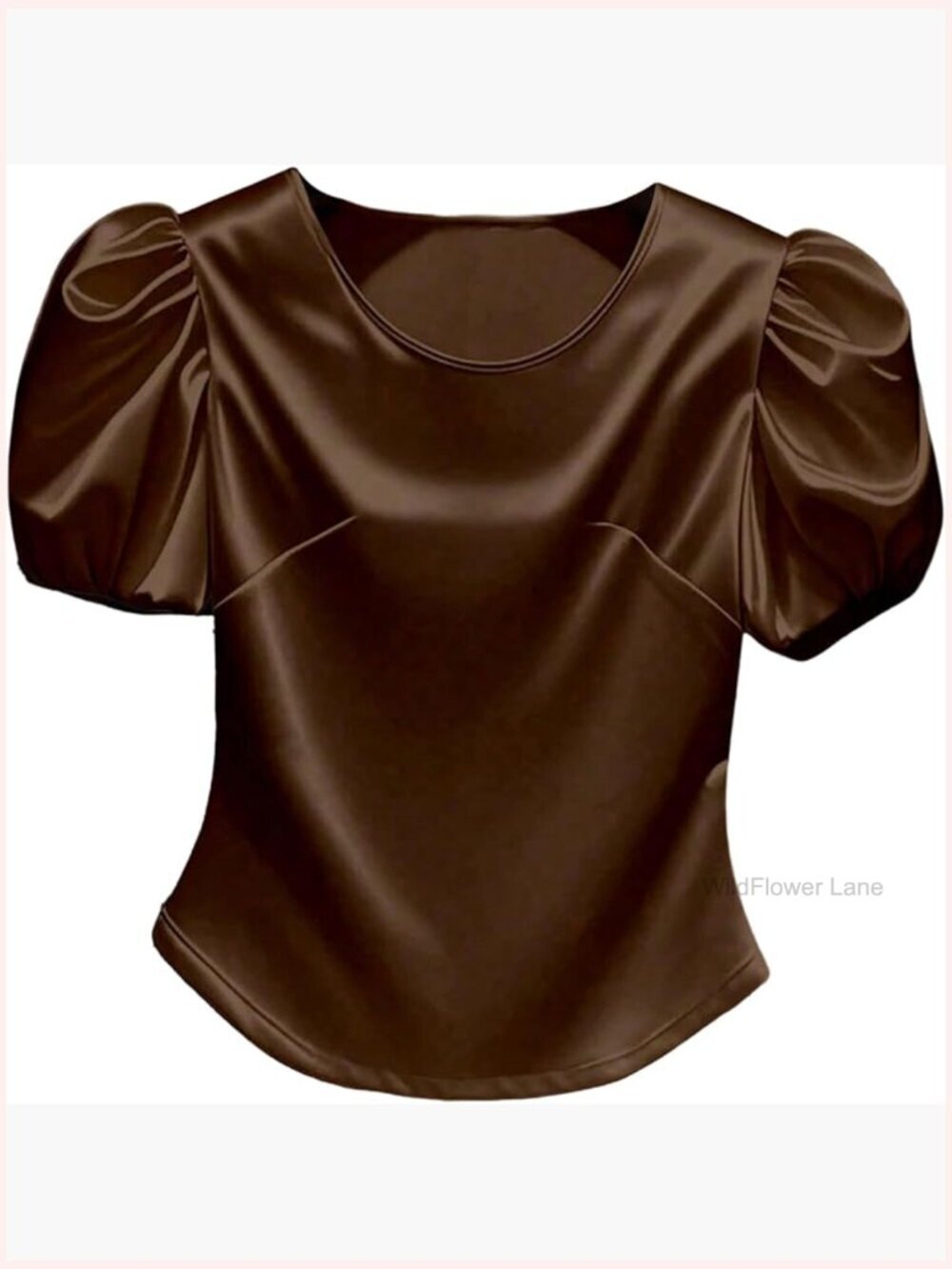 Satin Puff Sleeve Blouse Crew Neck Business Casual Work Dressy Top